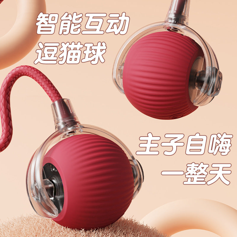 智能互動遛狗球｜自動避障不亂撞｜貓狗放電神器
