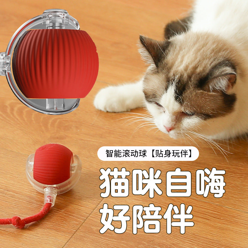 智能互動遛狗球｜自動避障不亂撞｜貓狗放電神器